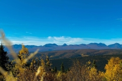 Tok_2_9082021__2_